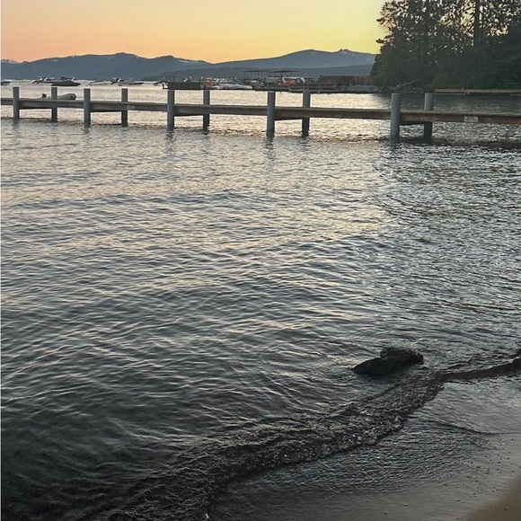 Meet your Posher, Kendall - Picture 1 of 1